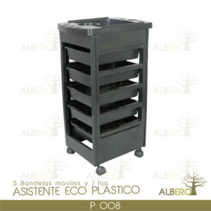 P-008 ASISTENTE PLASTICO
